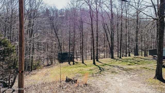 394 Briarwood Dr, Leitchfield, KY 42754 - photo 23