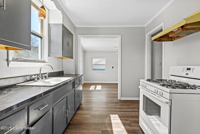kitchen featuring gray cabinets, crown molding, white gas range, dark wood-type flooring, and a sink