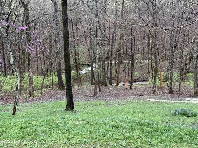 view of yard with a wooded view