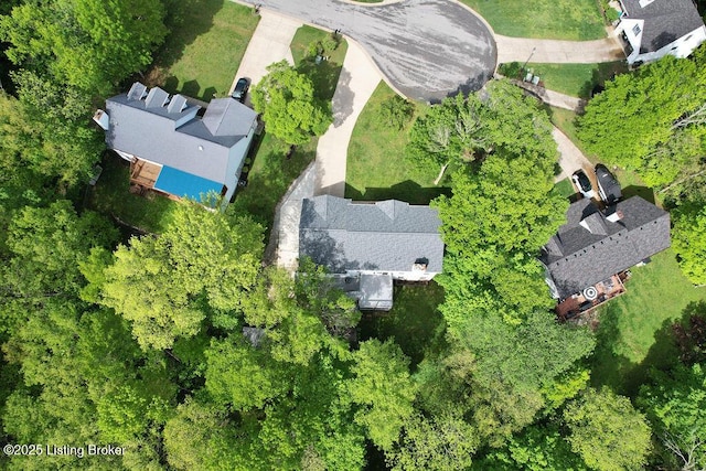 bird's eye view