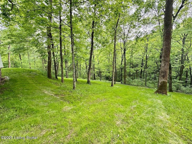 view of yard featuring a view of trees