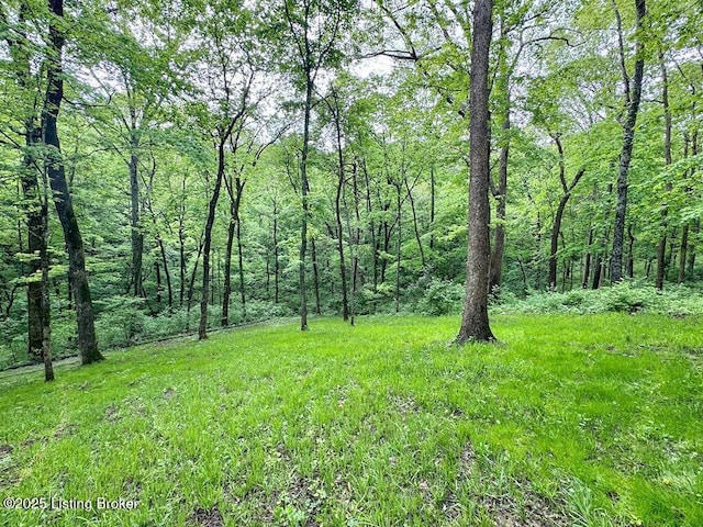 view of yard featuring a wooded view