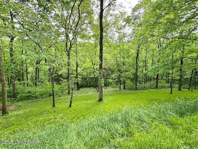 view of landscape with a wooded view