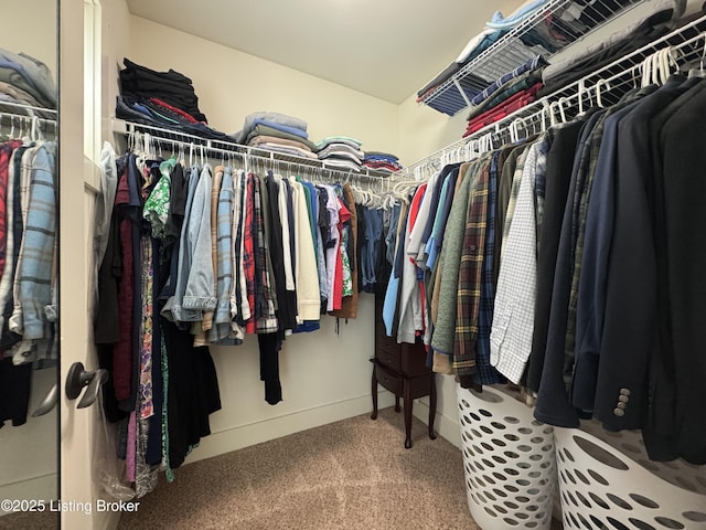 4815 Deer Creek Pl, Smithfield, KY 40068 - spacious closet with carpet floors