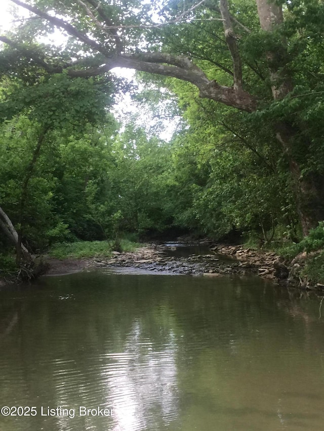 4815 Deer Creek Pl, Smithfield, KY 40068 - water view with a forest