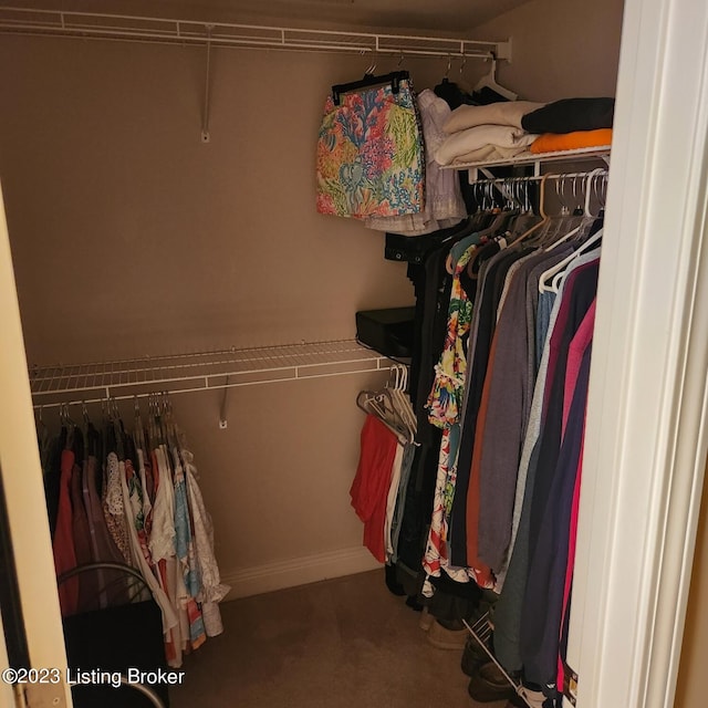 404 Eastgate Village Wynde, Louisville, KY 40223 - spacious closet featuring carpet