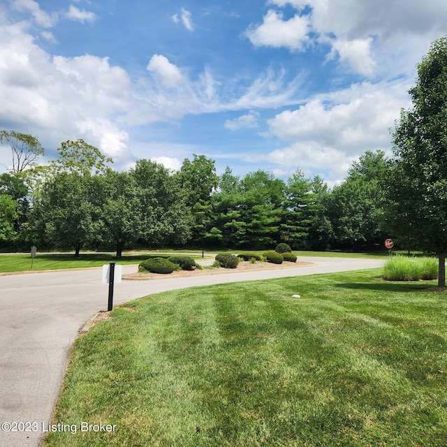 404 Eastgate Village Wynde, Louisville, KY 40223 - view of yard
