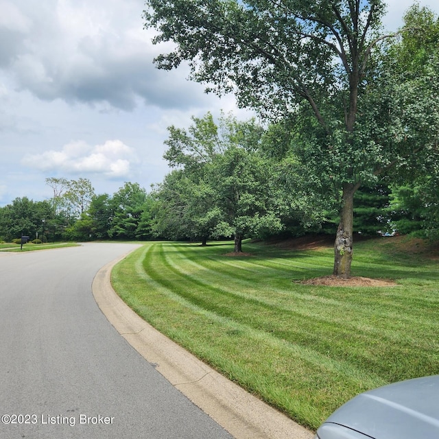 404 Eastgate Village Wynde, Louisville, KY 40223 - view of street