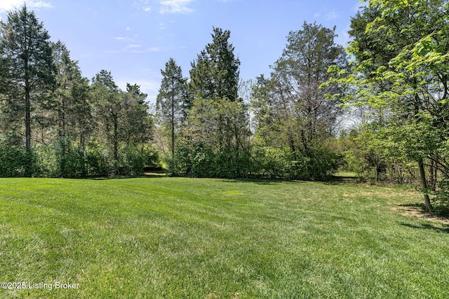 1112 Majestic Woods Dr, La Grange, KY 40031 - view of grassy yard with a wooded view