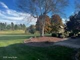 119 Fairway Dr, Hodgenville, KY 42748 - view of yard with golf course view