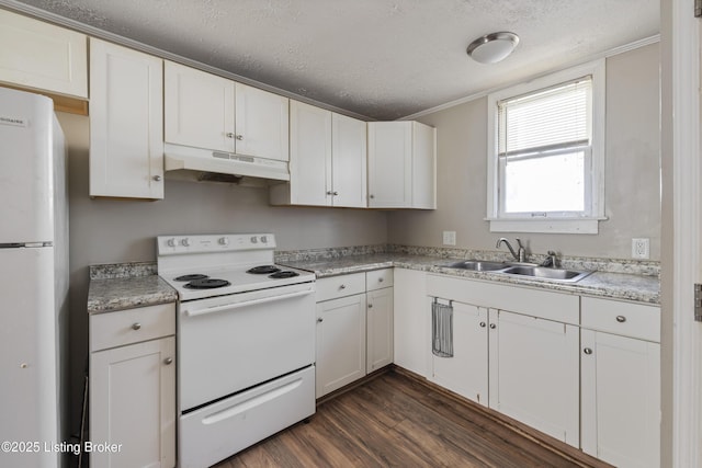 kitchen featuring a sink, a textured ceiling, white appliances, under cabinet range hood, and dark wood-type flooring