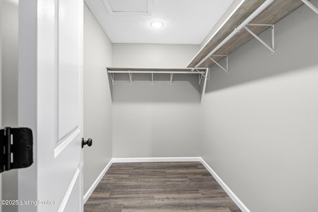3408 Rhodelia Rd, Payneville, KY 40157 - spacious closet featuring dark wood-type flooring