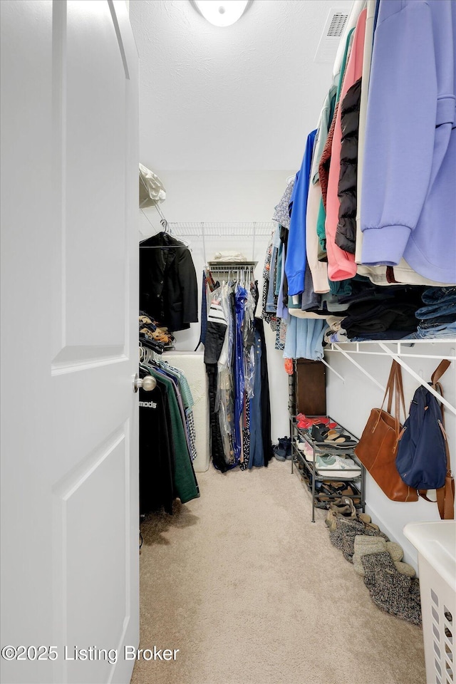 walk in closet with carpet flooring