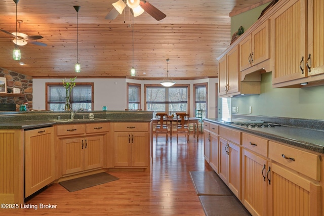 351 Serenity Cove Ln, Mammoth Cave, KY 42259 - kitchen featuring light wood-type flooring, ceiling fan, dark countertops, and wood ceiling