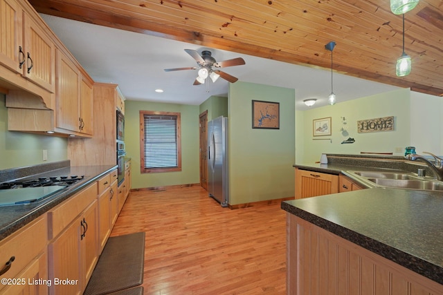 351 Serenity Cove Ln, Mammoth Cave, KY 42259 - kitchen featuring light wood finished floors, a sink, black appliances, and dark countertops