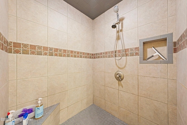 351 Serenity Cove Ln, Mammoth Cave, KY 42259 - bathroom with tiled shower