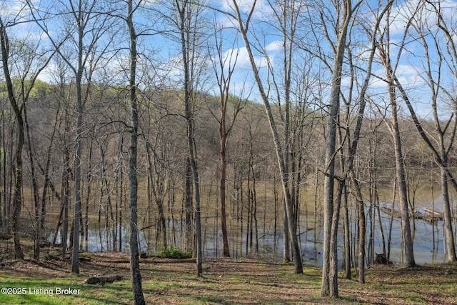 351 Serenity Cove Ln, Mammoth Cave, KY 42259 - view of water feature featuring a wooded view