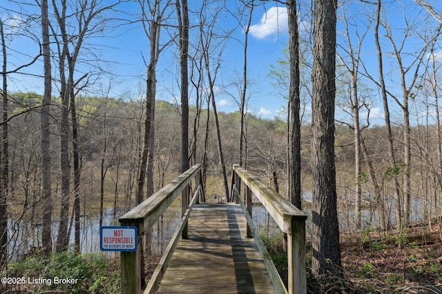 351 Serenity Cove Ln, Mammoth Cave, KY 42259 - dock area with a forest view