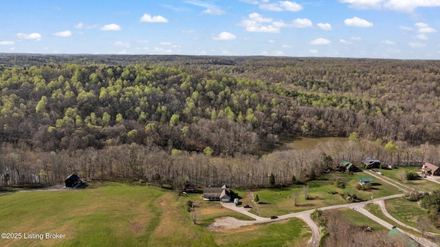 351 Serenity Cove Ln, Mammoth Cave, KY 42259 - birds eye view of property featuring a forest view