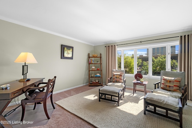 644 S 2nd St Unit 2, Louisville, KY 40202 - office area with crown molding, baseboards, and carpet