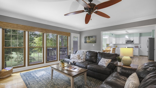 4304 Rivanna Dr, Jeffersontown, KY 40299 - living room featuring light wood-style flooring, ceiling fan, and ornamental molding