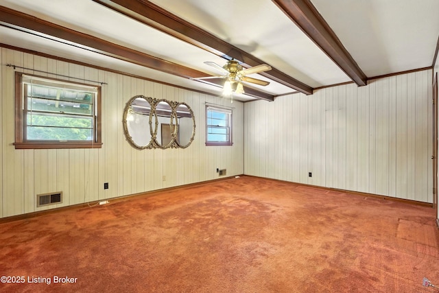 9916 Mccrea Ln, Louisville, KY 40229 - photo 10