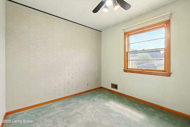 9916 Mccrea Ln, Louisville, KY 40229 - photo 19