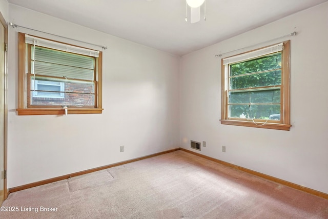 9916 Mccrea Ln, Louisville, KY 40229 - photo 17