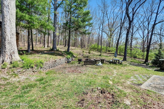 view of yard