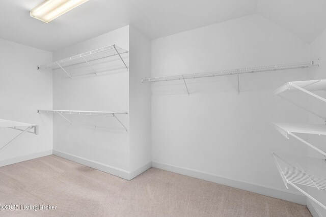 14801 Forest Oaks Dr, Louisville, KY 40245 - walk in closet featuring carpet flooring