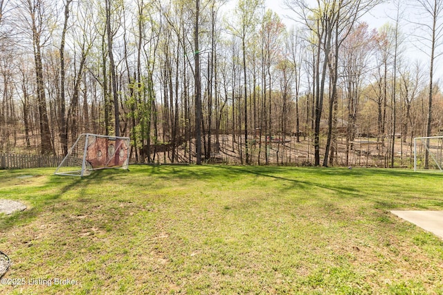 434 Beasley Blvd, Elizabethtown, KY 42701 - photo 53