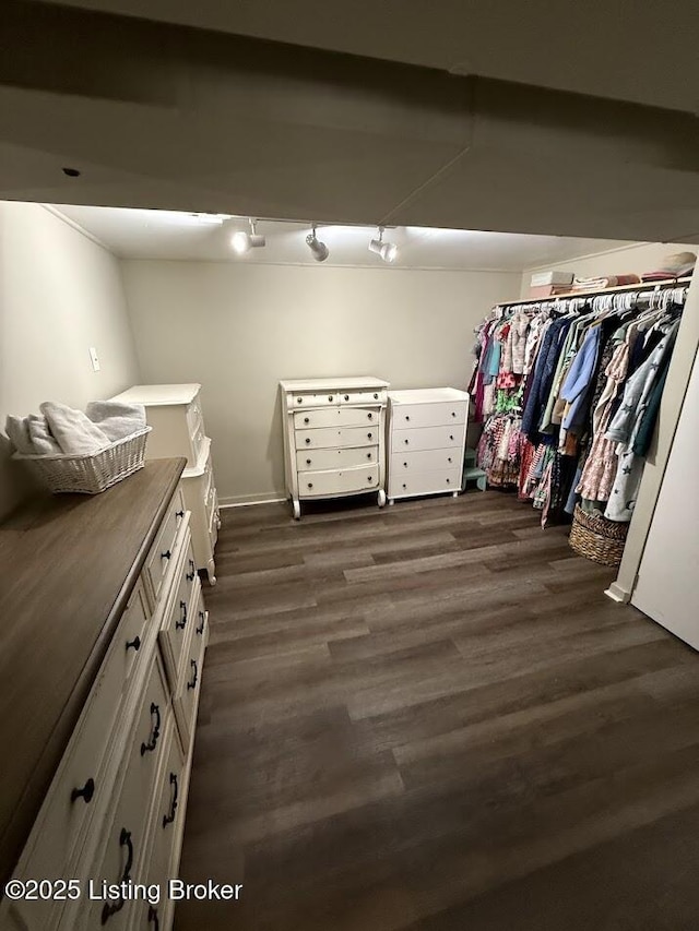 spacious closet featuring dark wood-style flooring