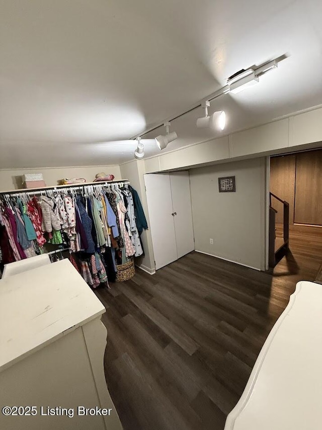 walk in closet with dark wood-type flooring