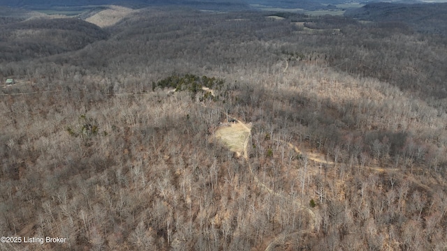 0 Big Lick Hollow Rd, New Haven, KY 40051 - photo 1