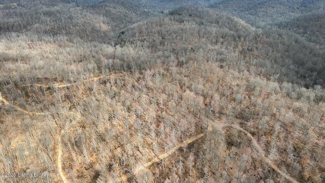 0 Big Lick Hollow Rd, New Haven, KY 40051 - photo 15