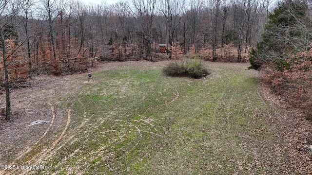 0 Big Lick Hollow Rd, New Haven, KY 40051 - photo 16