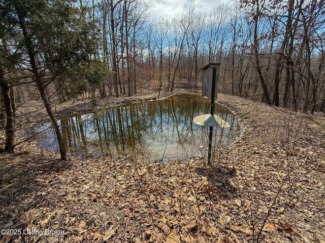 0 Big Lick Hollow Rd, New Haven, KY 40051 - photo 17