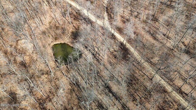 0 Big Lick Hollow Rd, New Haven, KY 40051 - photo 21