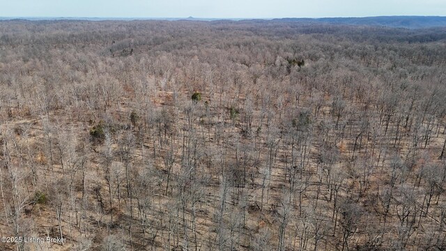 0 Big Lick Hollow Rd, New Haven, KY 40051 - photo 22