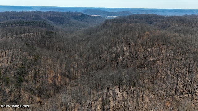 0 Big Lick Hollow Rd, New Haven, KY 40051 - photo 23