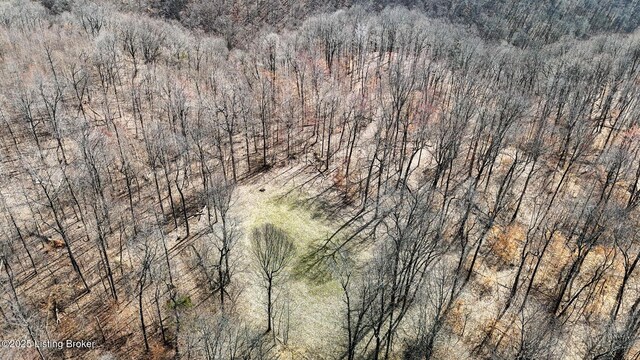 0 Big Lick Hollow Rd, New Haven, KY 40051 - photo 24