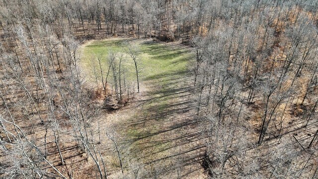 0 Big Lick Hollow Rd, New Haven, KY 40051 - photo 25