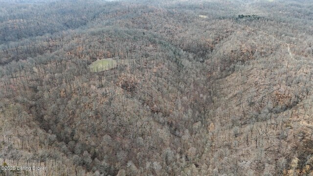 0 Big Lick Hollow Rd, New Haven, KY 40051 - photo 26