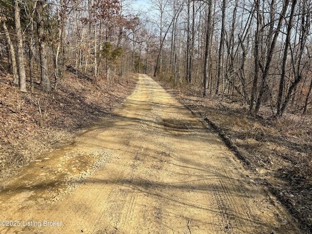 0 Big Lick Hollow Rd, New Haven, KY 40051 - photo 38