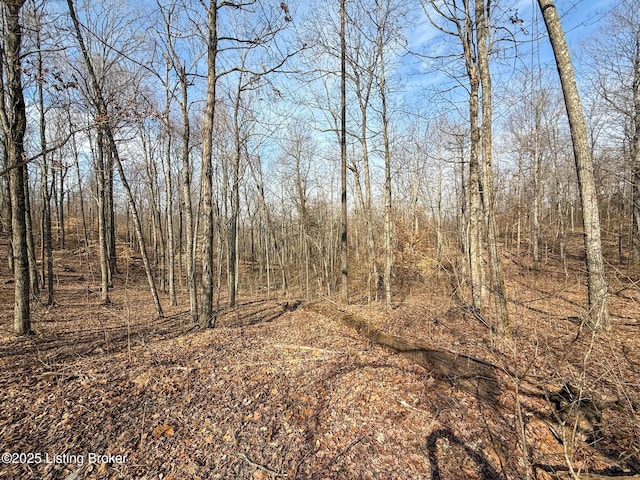 0 Big Lick Hollow Rd, New Haven, KY 40051 - photo 39