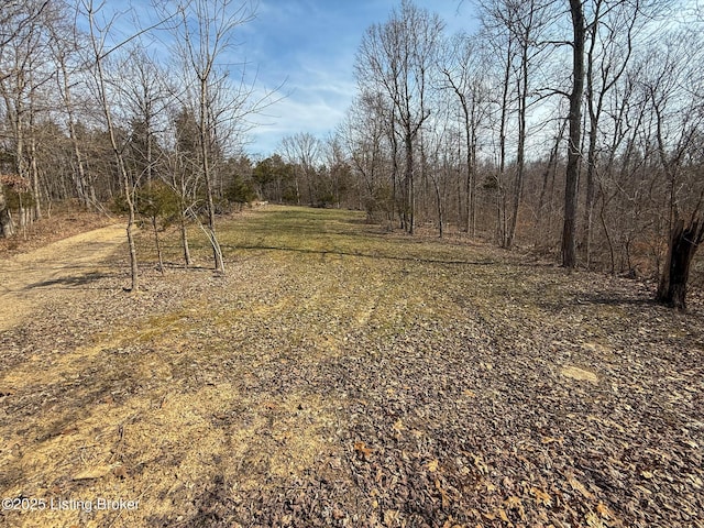 0 Big Lick Hollow Rd, New Haven, KY 40051 - photo 40