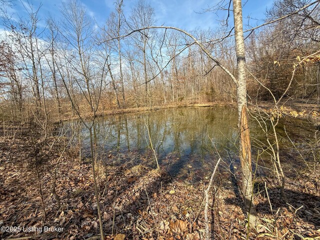 0 Big Lick Hollow Rd, New Haven, KY 40051 - photo 41