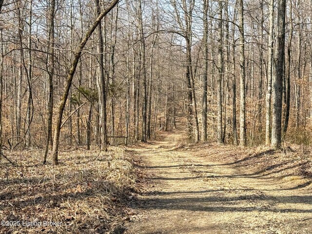 0 Big Lick Hollow Rd, New Haven, KY 40051 - photo 42