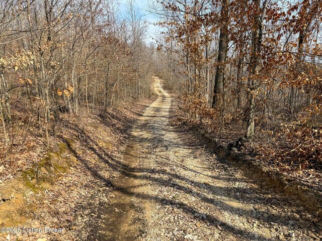 0 Big Lick Hollow Rd, New Haven, KY 40051 - photo 43