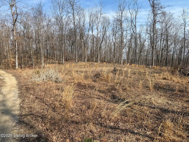 0 Big Lick Hollow Rd, New Haven, KY 40051 - photo 44